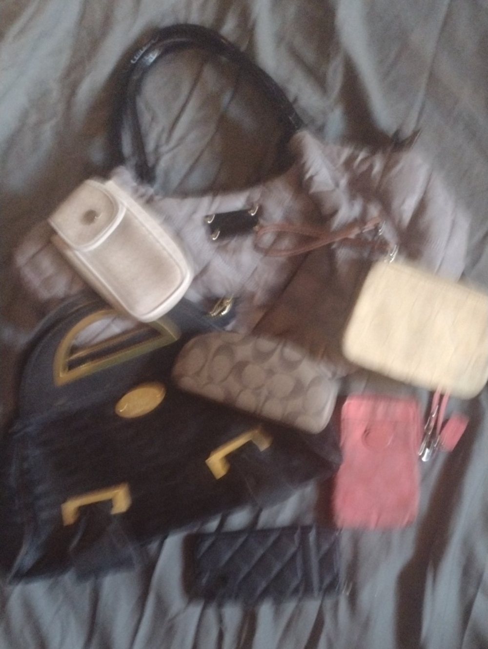 Fashion Purse Bundle $60